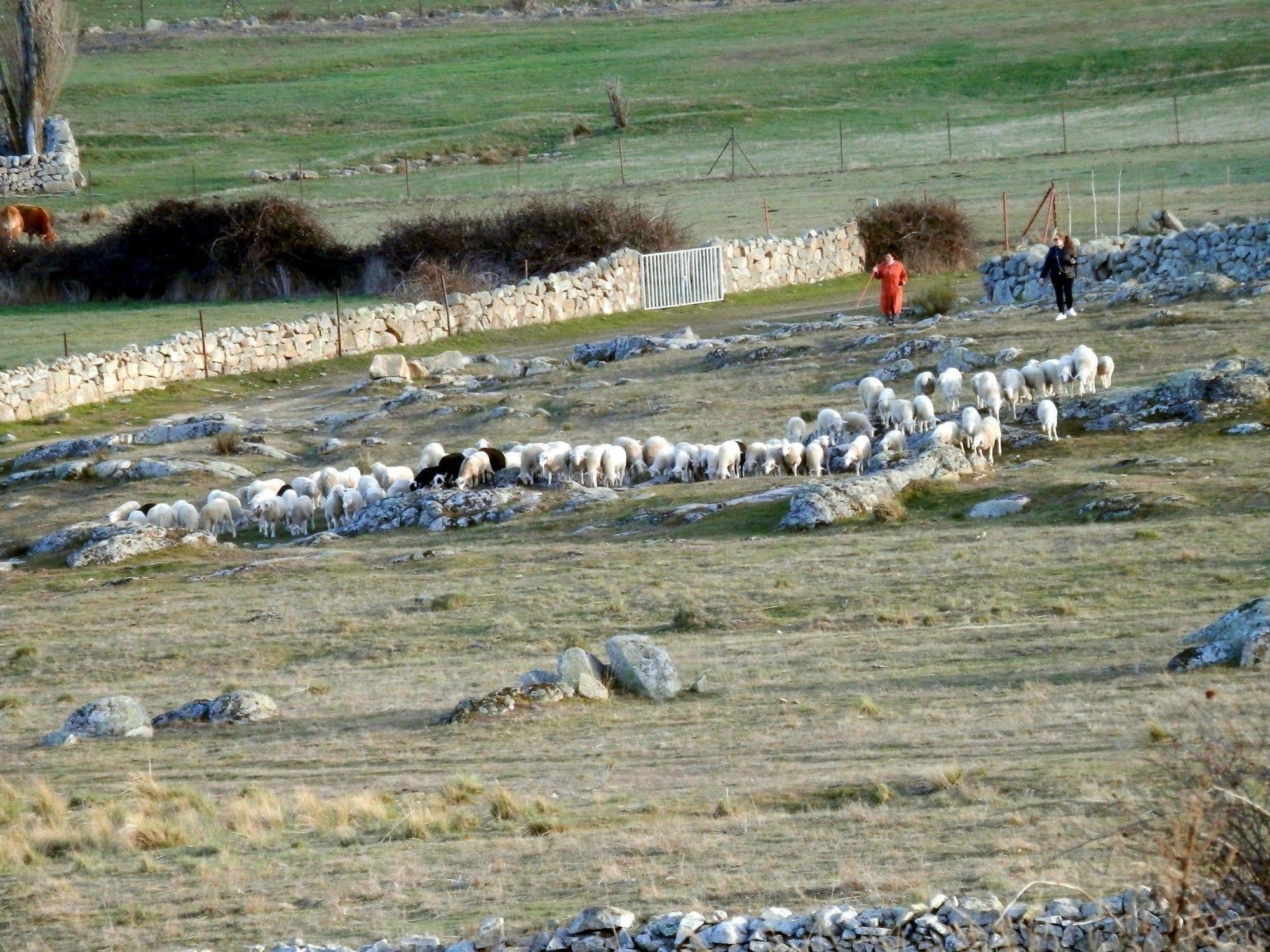 Casa Rural El Dolmen Bernuy-Salinero エクステリア 写真